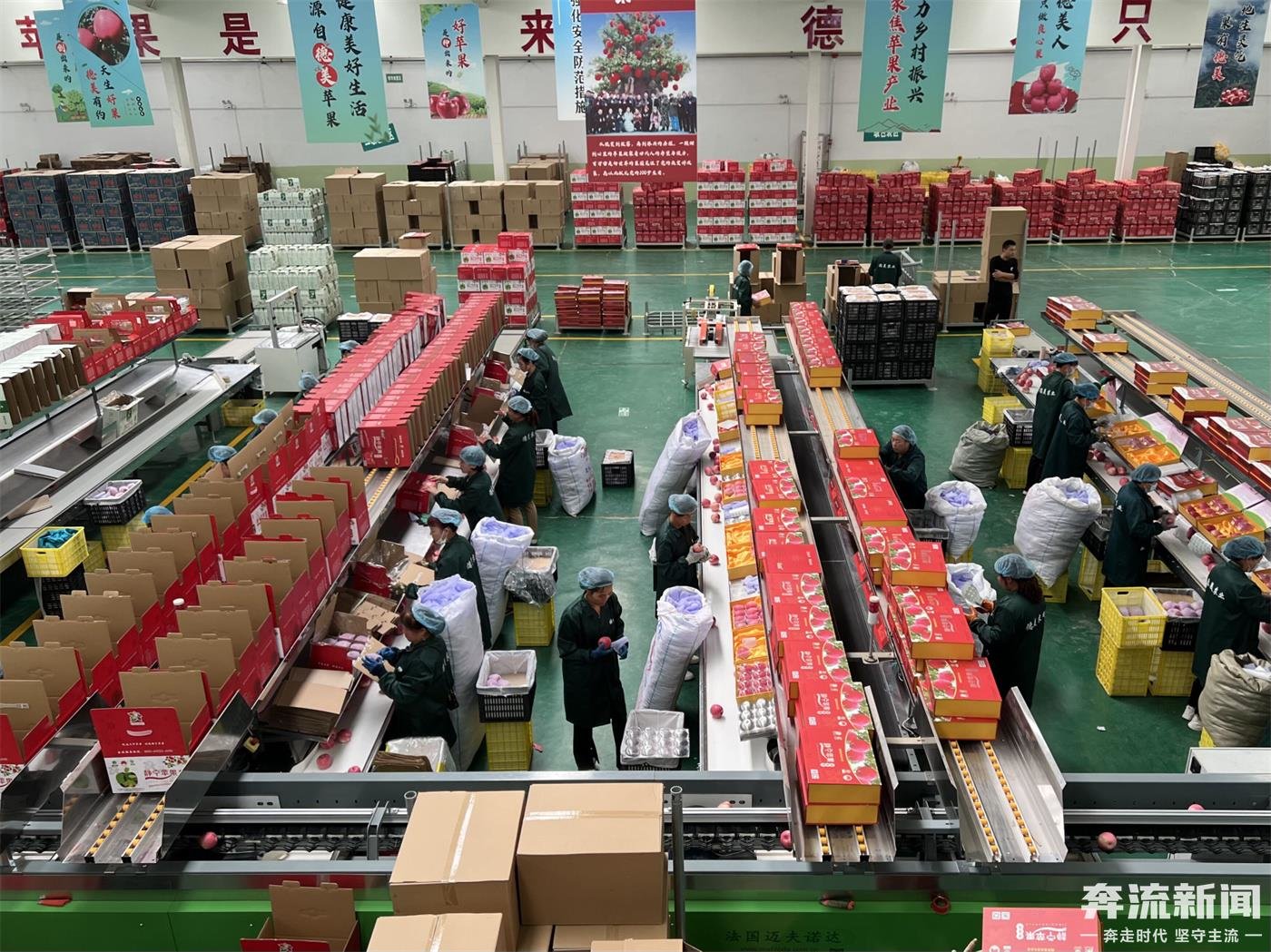 平?jīng)鍪ヌ輰?duì)外貿(mào)易有限公司助力靜寧蘋(píng)果走出國(guó)外